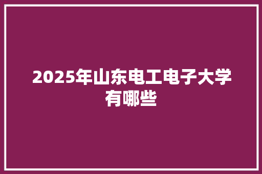 2025年山东电工电子大学有哪些