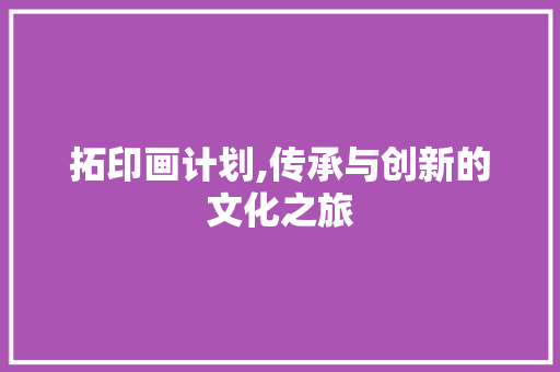 拓印画计划,传承与创新的文化之旅