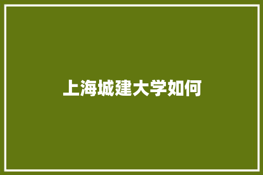 上海城建大学如何