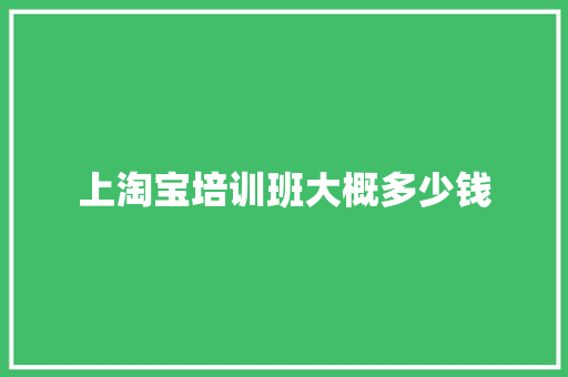 上淘宝培训班大概多少钱