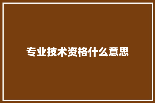 专业技术资格什么意思