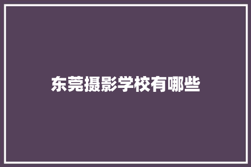 东莞摄影学校有哪些