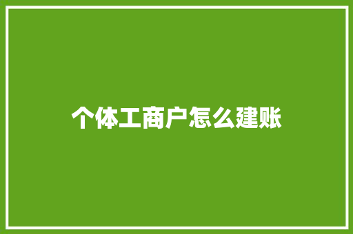 个体工商户怎么建账
