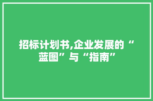 招标计划书,企业发展的“蓝图”与“指南”
