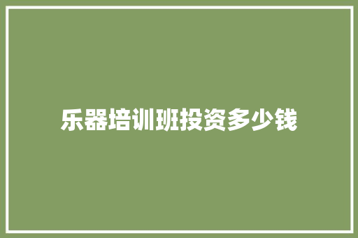 乐器培训班投资多少钱