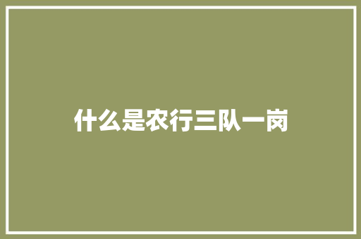 什么是农行三队一岗
