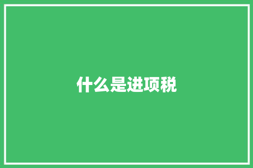 什么是进项税