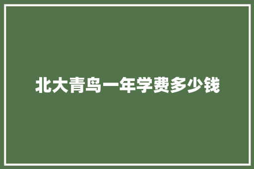 北大青鸟一年学费多少钱 汉字拼音