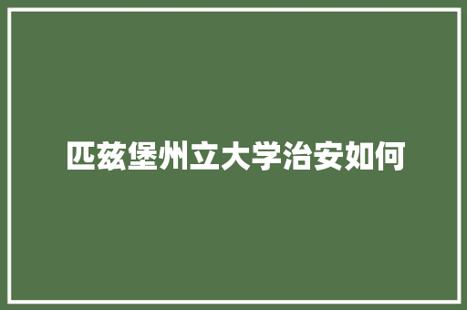 匹兹堡州立大学治安如何