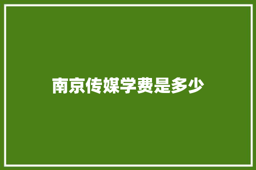 南京传媒学费是多少