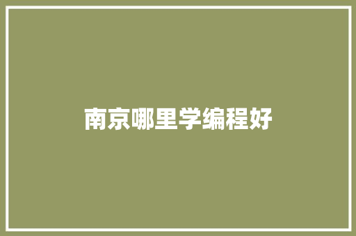 南京哪里学编程好