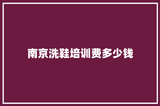 南京洗鞋培训费多少钱 短语