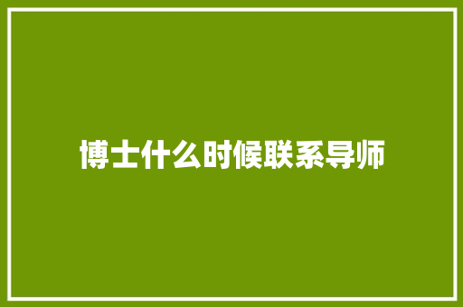 博士什么时候联系导师