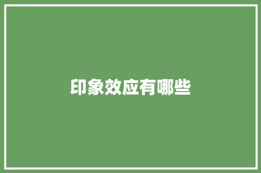 印象效应有哪些