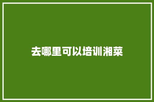 去哪里可以培训湘菜