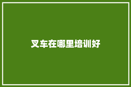 叉车在哪里培训好