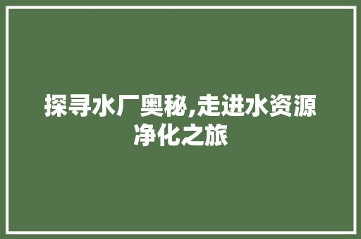 探寻水厂奥秘,走进水资源净化之旅