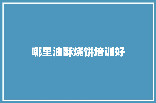 哪里油酥烧饼培训好