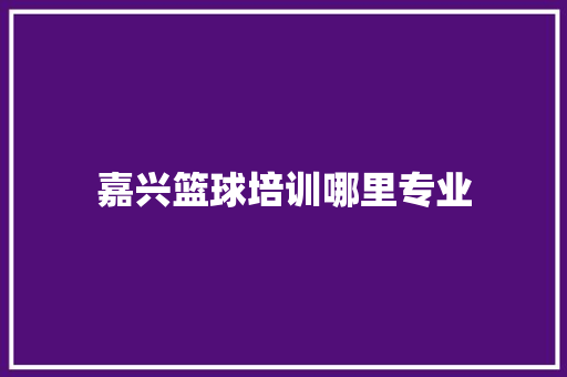 嘉兴篮球培训哪里专业