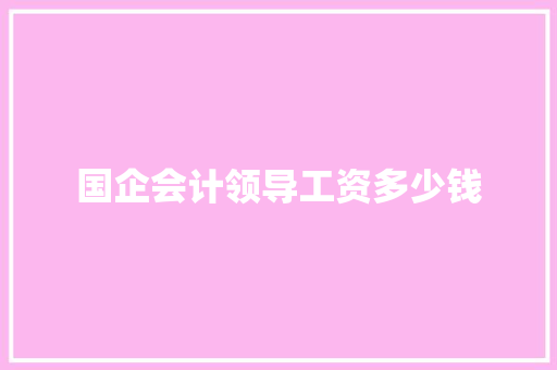 国企会计领导工资多少钱