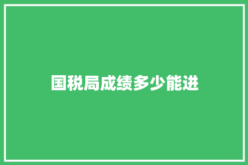 国税局成绩多少能进