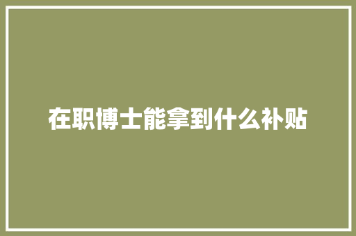 在职博士能拿到什么补贴