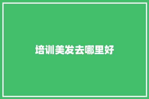 培训美发去哪里好