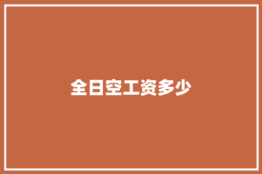 全日空工资多少