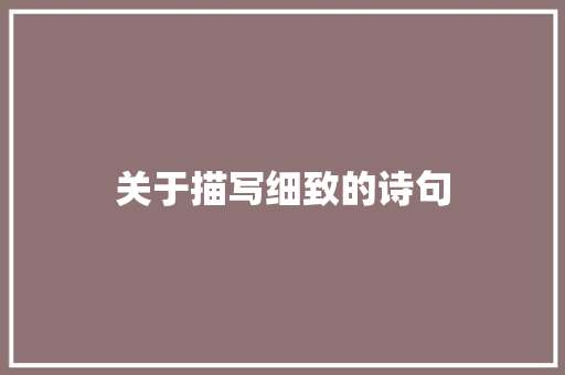 关于描写细致的诗句