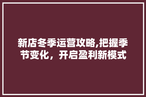 新店冬季运营攻略,把握季节变化，开启盈利新模式
