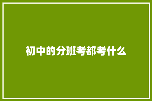 初中的分班考都考什么 成语汇编