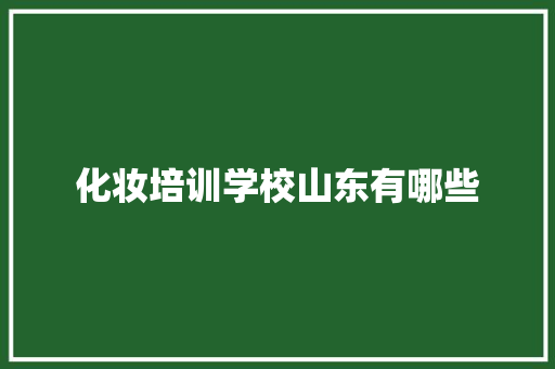 化妆培训学校山东有哪些
