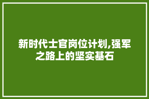 新时代士官岗位计划,强军之路上的坚实基石