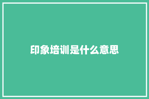 印象培训是什么意思