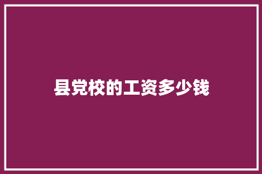 县党校的工资多少钱