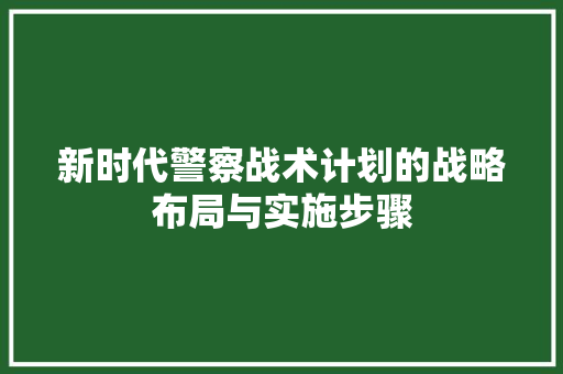 新时代警察战术计划的战略布局与实施步骤