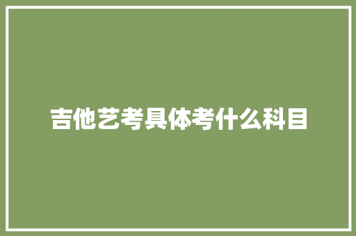 吉他艺考具体考什么科目