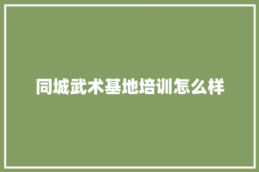 同城武术基地培训怎么样