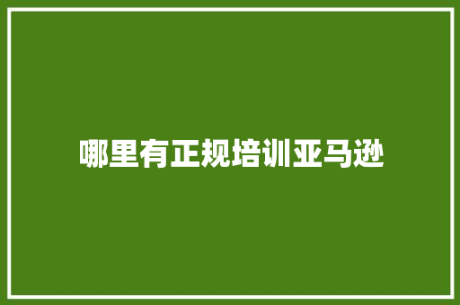 哪里有正规培训亚马逊