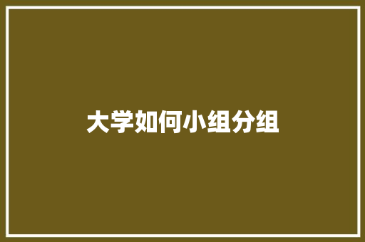 大学如何小组分组