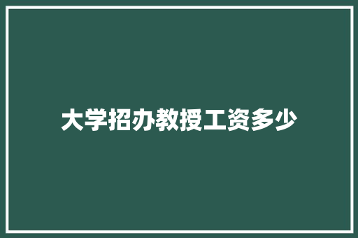 大学招办教授工资多少