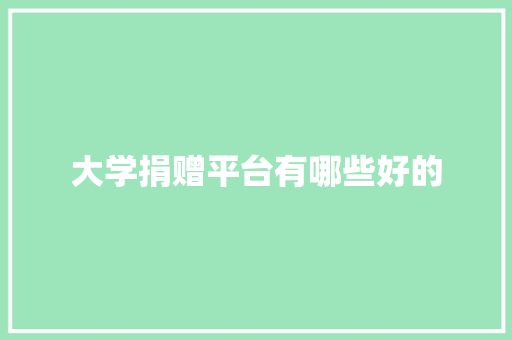 大学捐赠平台有哪些好的