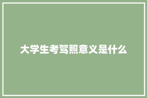 大学生考驾照意义是什么