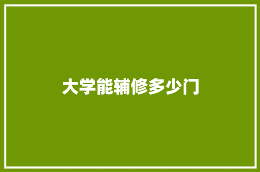 大学能辅修多少门