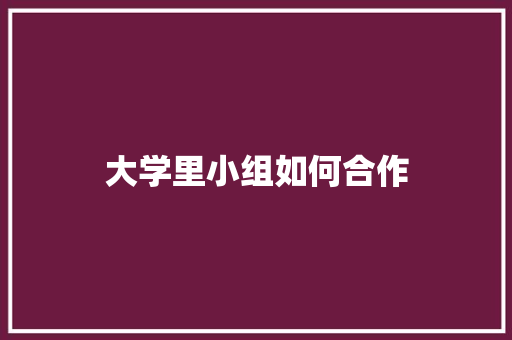 大学里小组如何合作