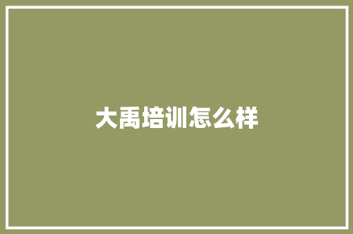 大禹培训怎么样