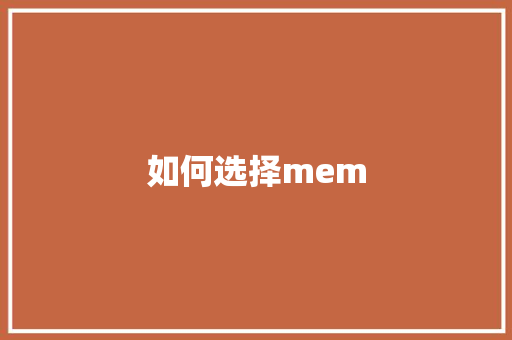 如何选择mem