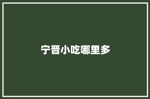 宁晋小吃哪里多