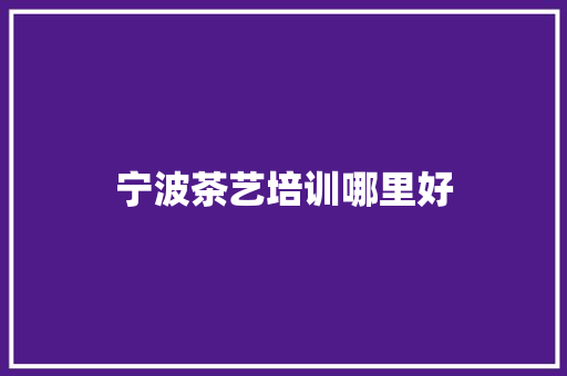 宁波茶艺培训哪里好