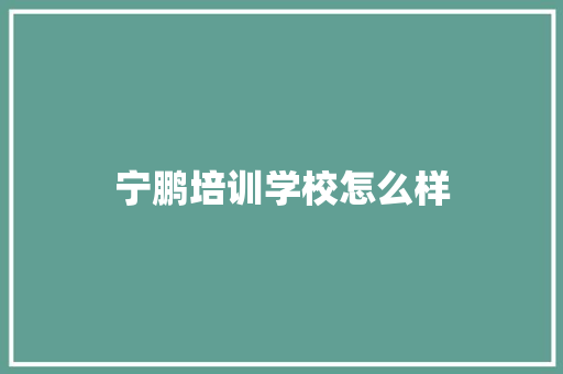 宁鹏培训学校怎么样